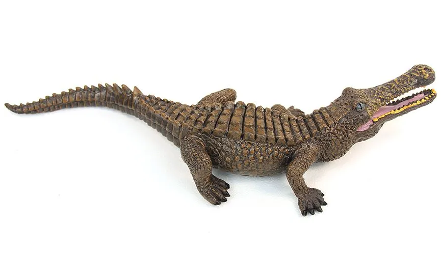 Себек - очищение от негатива — изображение 3