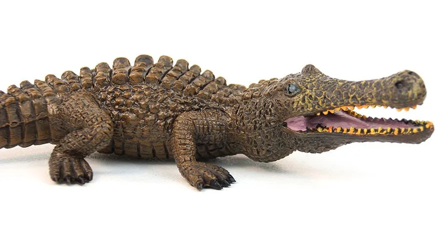 Себек - очищение от негатива — изображение 2