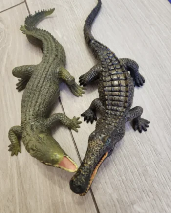 Себек - очищение от негатива